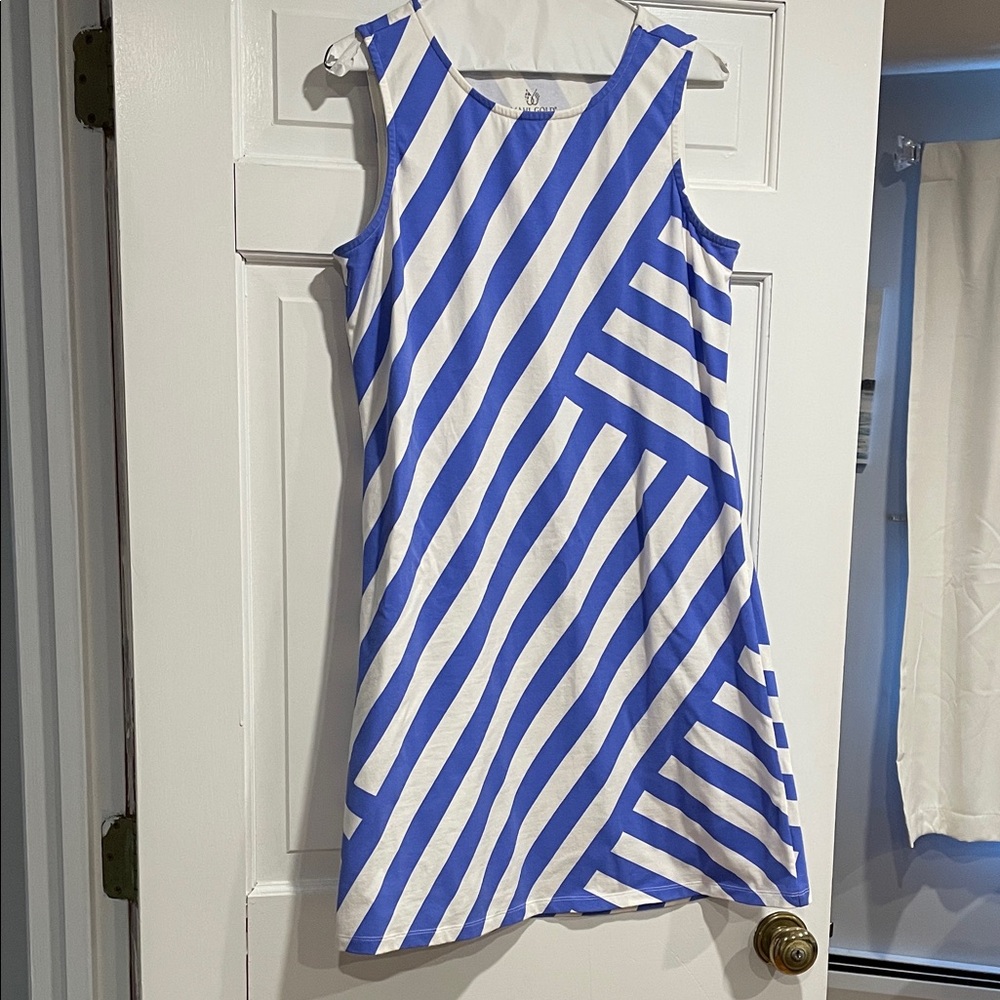 MAHI GOLD Blue and White Dress